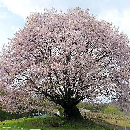 Pension Green Field Katashina Exteriér fotografie