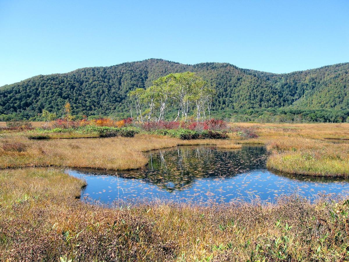 Pension Green Field Katashina Exteriér fotografie
